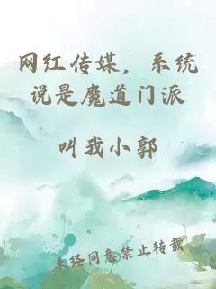 网红传媒，系统说是魔道门派