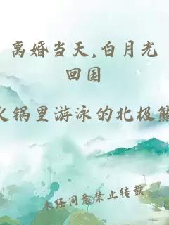 离婚当天,白月光回国